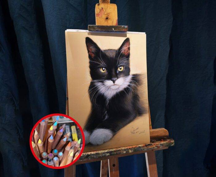 Katzen Portrait